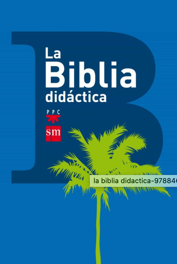 LA BIBLIA DIDACTICA ED.2013 (140977)